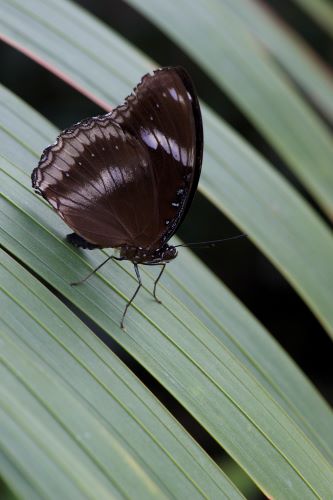 Complete Guide To Starting With Macro Photography with Becky Danese