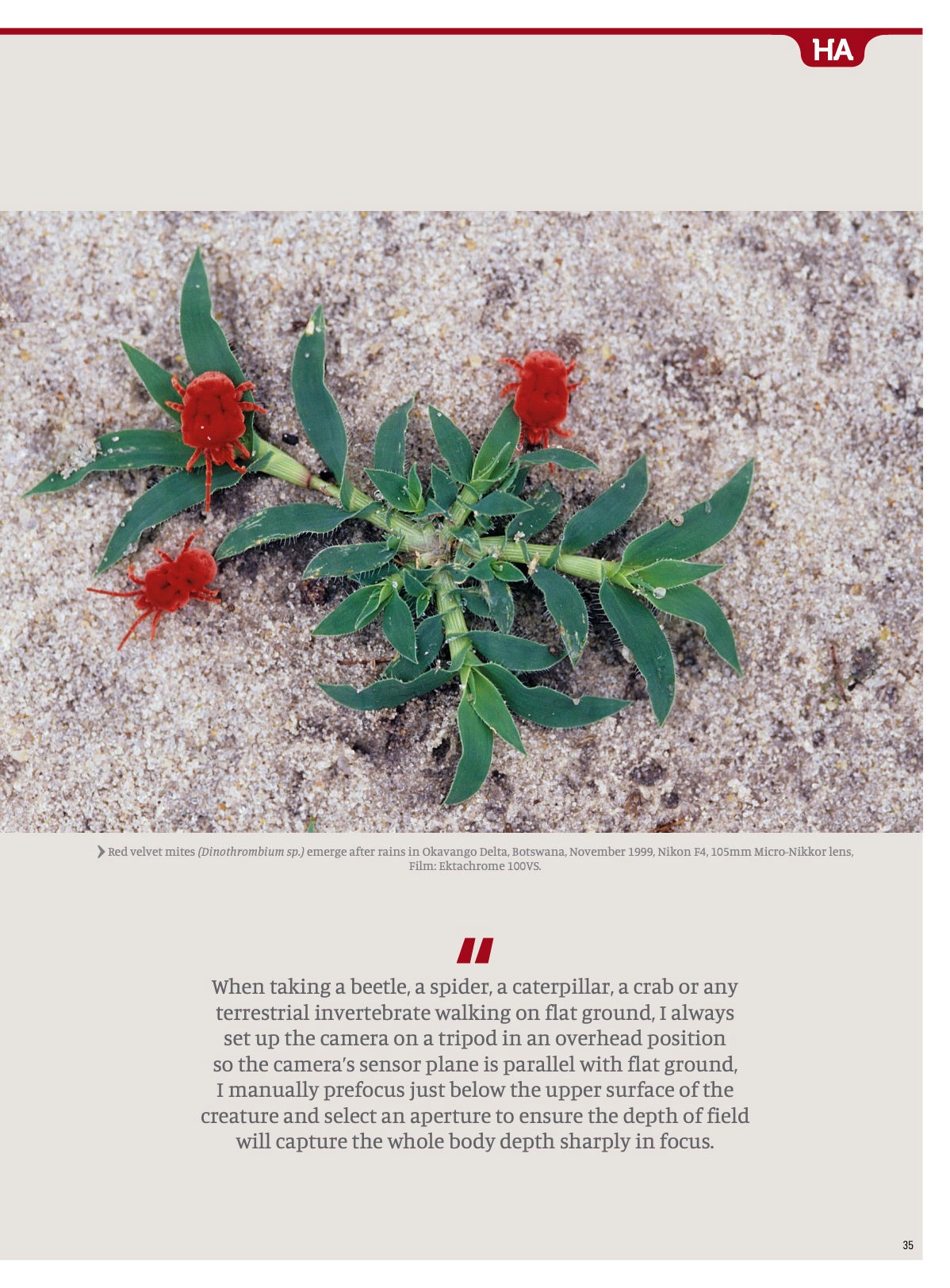Nikon Owner Magazine issue 73