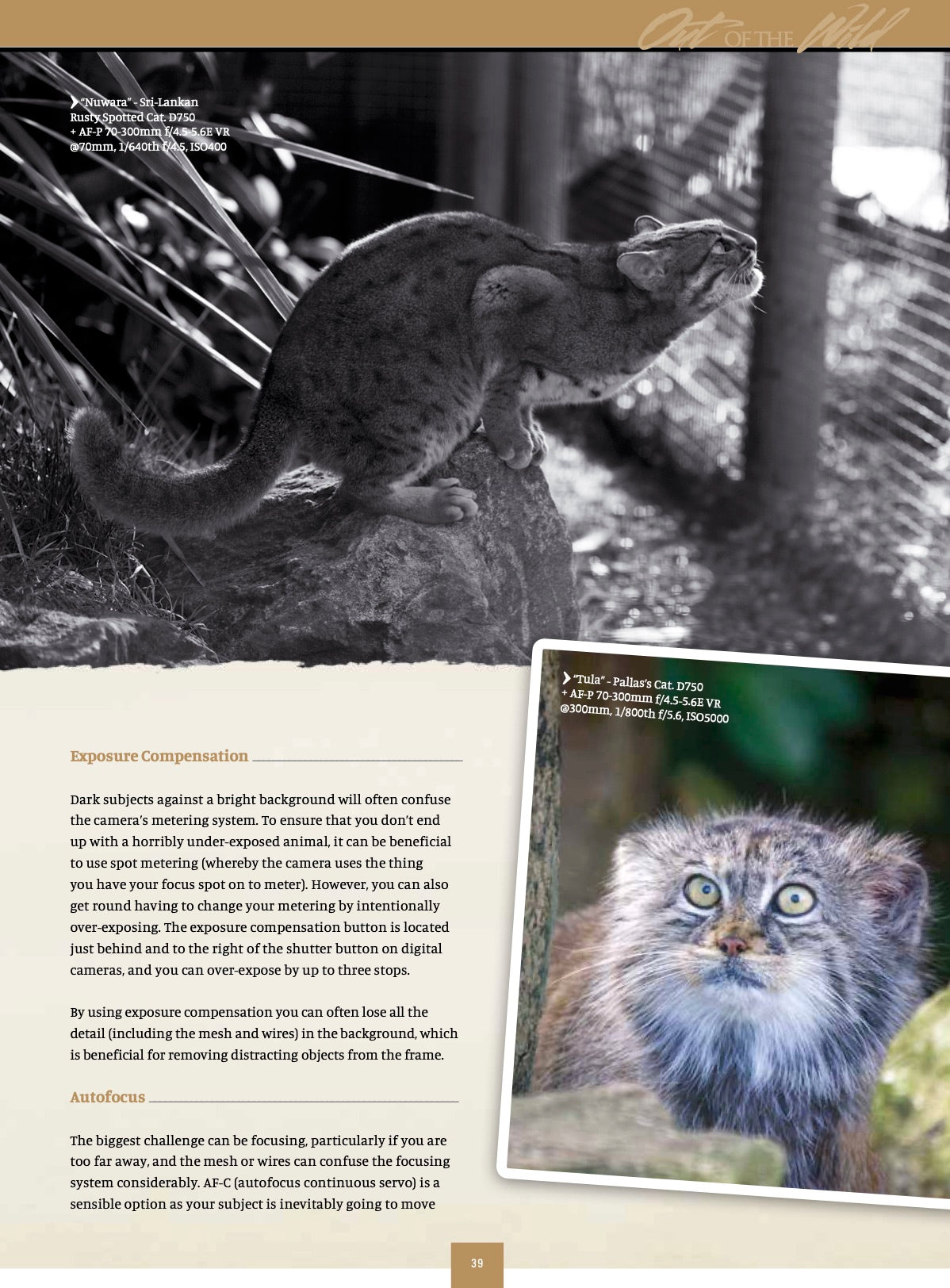 Nikon Owner Magazine issue 61