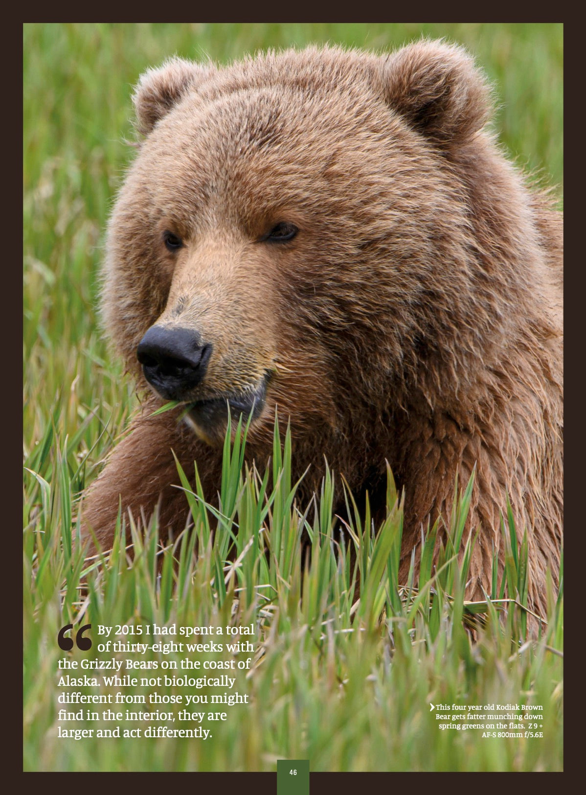 Nikon Owner Magazine issue 79