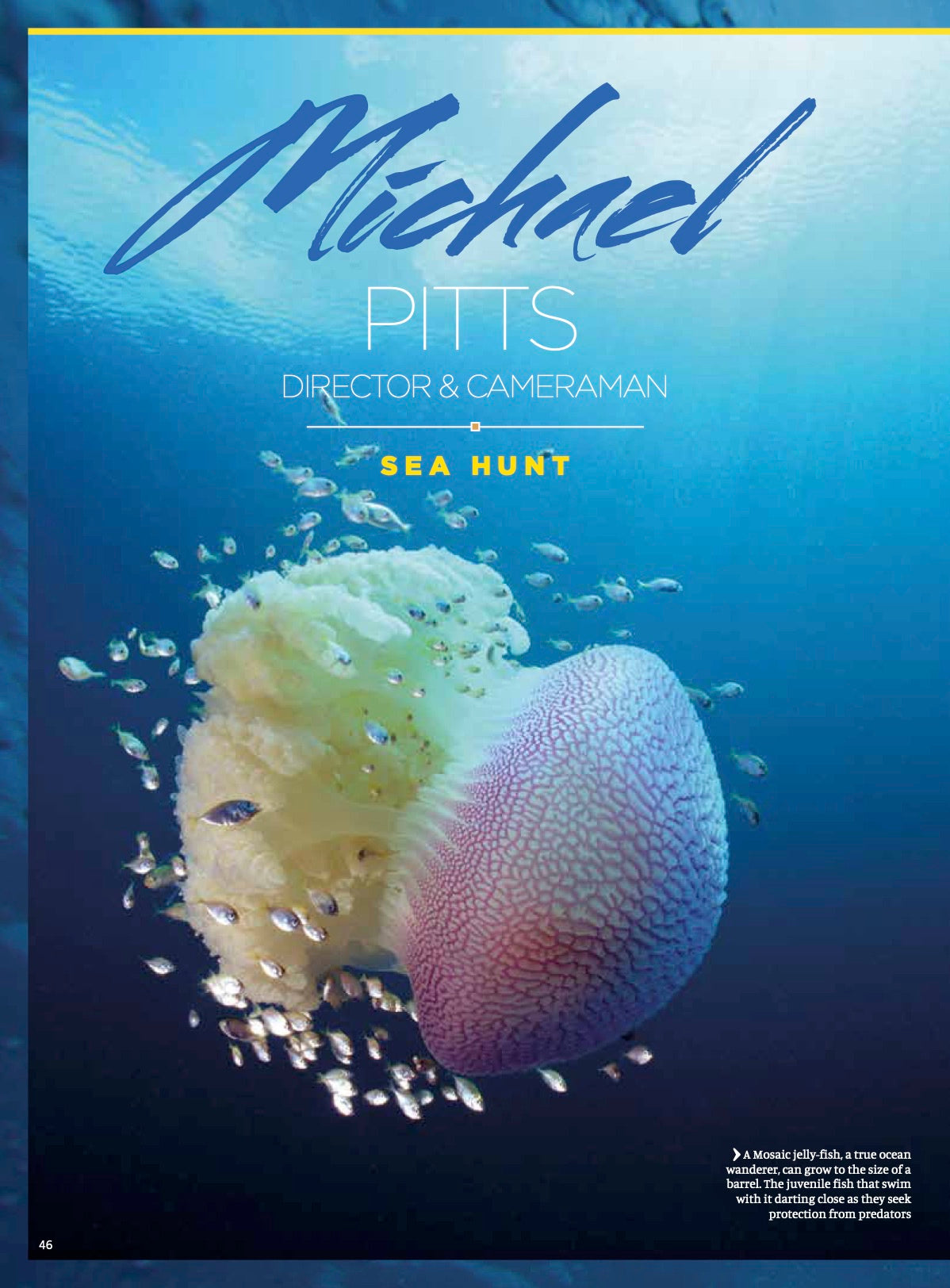 Collection 3 - Michael Pitts' three-part series "Sea Hunt"