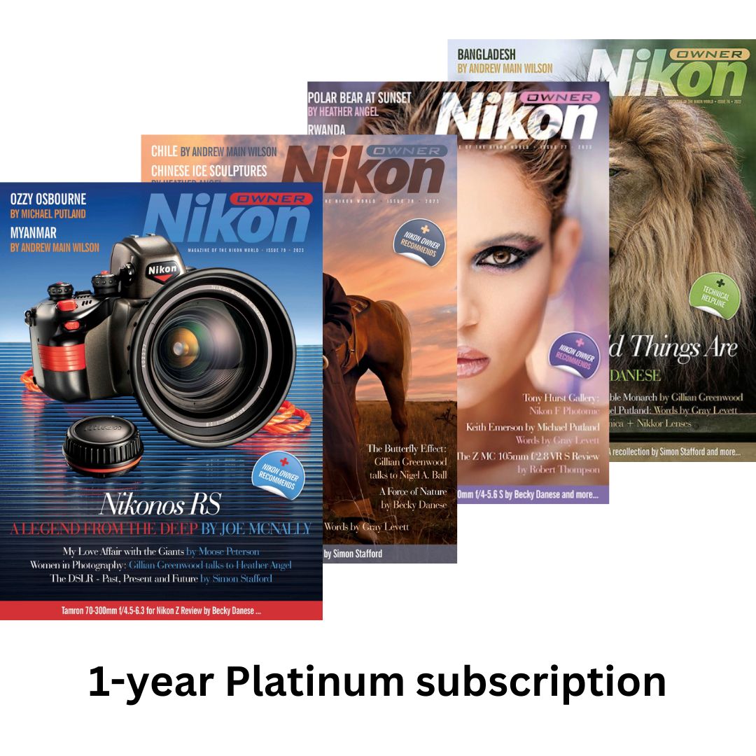 1-year Platinum Subscription