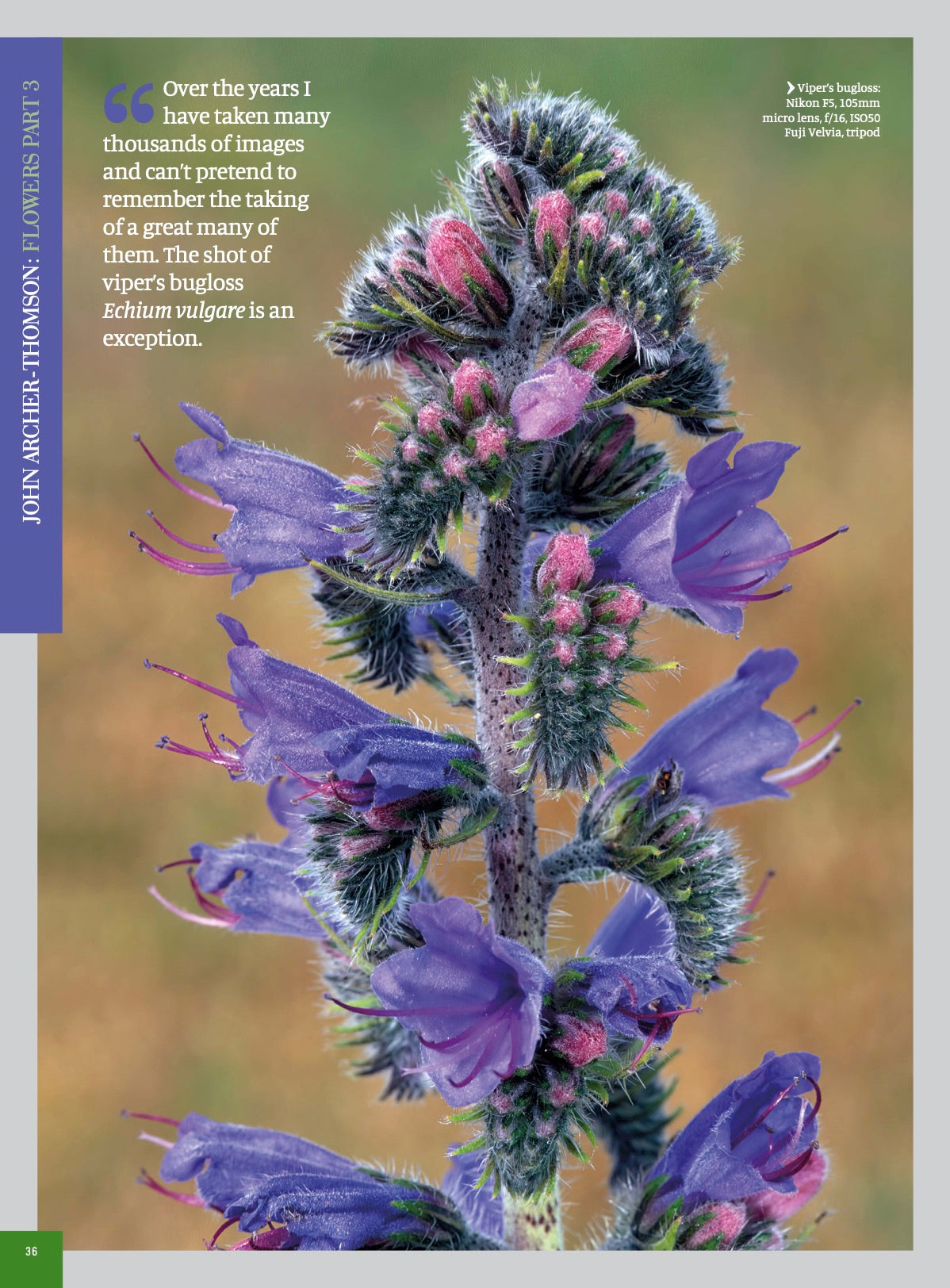 Nikon Owner magazine issue 86